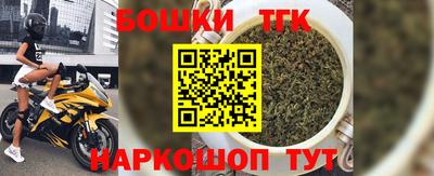 дмт Кингисепп
