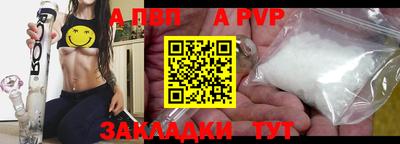 дмт Кингисепп